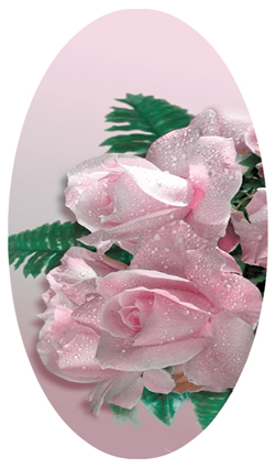 DNSBLUF 063 Bouquet Of Roses Orchid